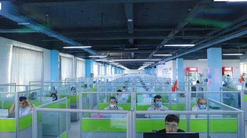 金山驕傲 工業(yè)互聯(lián)網(wǎng)數(shù)據(jù)服務(wù)領(lǐng)域集體與個人獲市級表彰